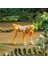 Luxury Movie 7 Rise Of The Beasts Battle Master Cheetor F3895-F4599 1 Adet 2