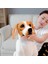 Luxury Gerçek Görünümlü Alman Kurdu Dalmaçyalı Beagle Köpek Peluş Oyuncak Çeşitleri Uyku Oyun Arkadaşı 70CM 1 Adet 2