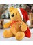 Luxury 55 cm Noel Baba Ayıcığı (%100 Yerli) 1 Adet 4