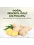 Doğal Diş Macunu 90 gr Zencefil Özlü 1