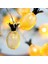 Dekoratif Pilli Pineapple Ananas Pilli Şerit LED Işık (1 Metre) (4887) 1