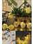 Dekoratif Pilli Pineapple Ananas Pilli Şerit LED Işık (1 Metre) (4887) 2