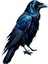 Momoart Bird Paint By Numbers Animal Home Decor No Frame Oil Painting Crow Acrylic Kits On Canvas Home Bedroom Wall ARTWORKCOLOR:AABB-5006/SIZE(CM):30X40CM No Frame (Yurt Dışından) 1