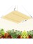 1000W Watt Tabaş Rohs FRGDGL-0030 LED Bitki Yetiştirme Büyüme Işığı Paneli Tam Spektrum LED Lamba Kapalı Bitki Sebze Çiçek Gün Işığı 30CM x 25CM Kırmızı Mavi Sarı Işık 1