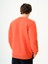 Regular Fit Erkek Sweatshirt 3