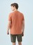 Regular Fit Erkek Tshirt K.kol 3