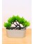 Dekoratif Kayık Saksılı Yapay Çam Ağacı Bonsai Gri 16 cm EVA-5829 C1-1-423 1