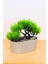 Dekoratif Kayık Saksılı Yapay Çam Ağacı Bonsai Gri 16 cm EVA-5829 C1-1-423 2