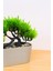 Dekoratif Kayık Saksılı Yapay Çam Ağacı Bonsai Gri 16 cm EVA-5829 C1-1-423 3