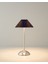 Marca Dekoratif Aydınlatma 31 cm Silver 2
