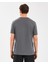 M Lightweight Graphic Tee T-Shirt Erkek Gri Tshirt S2510161-003 4