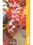 Haiti : Bradt Travel Guides 2e 1