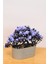 Dekoratif Kayık Saksılı Yapay Çiçekli Ağaç Lila 17 cm EVA-5830 C1-1-423 2