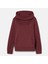 Exeter Rıver Brushed Back Hoodie 1