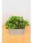 Dekoratif Kayık Saksılı Yapay Çiçekli Ağaç Yeşil 17 cm EVA-5830 C1-1-423 1