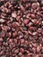 Yaban Mersini Kurusu Cranberry 500G 1