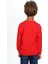Erkek Çocuk Baskılı Sweatshirt 5