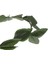 Yaprakları Laurel Çelenk Başlığı Toga Süslü Kostüm Headdress 60CM Yeşil (Yurt Dışından) 2