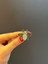 4x2 cm Zirkon Taşlı Arı Yaka Iğnesi Giyim Aksesuarı 3
