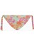 Fiyonklu Bikini Altı 2
