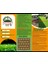 Zoysia Japonica Çim Fidesi 31.5 M2 İçin 504 Adet Fide (6 viol) 6