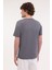 ml Emıl 11TRV19 5fx Gri Erkek Kısa Kol T-Shirt 2