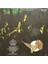 Barclay James Harvest Gone To Earth Lp Plak 2