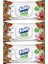 Islak Havlu Mendil 50 Yaprak Elma Sirkesi & Karbonat (24 Lü Set) (8pk*3) 1200 Yaprak 2