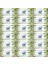 Islak Havlu Mendil 50 Yaprak Limon & Biberiye (18 Li Set) (6pk*3) 900 Yaprak 1