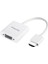 Phılıps SWR1620A/93 HDMI To VGA Laptop - Pc Monitör Görüntü Converter Çevirici (Projeksiyon Uyumlu) (4887) 1