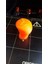 Mazda Gear Stick Orijinaline Benzer Boyutta T2343737 3