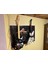 Guitar Hero/rock Band Gitar Tutucusu Remix T3236627 3