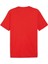 62790911 Graphıcs Summer Sports Tee Kırmızı Yuvarlak Yaka Regular Fit Baskılı Erkek T-Shirt 2