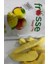 Mango Kıtırı - Freeze Dried - Üretici Firmadan Dondurularak Kurutulmuş Mango Cipsi 20 gr 3