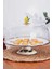 Lemon Emaye Kek Fanusu 30 cm 2
