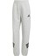 Adidas W Fı 3s Reg Pt Eşofman Altı Gri JE0155 5