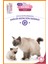 Kitten Paste 100 gr – Yavru ve Anne Kediler İçin Multivitamin ve Malt Macunu 4