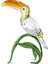 5693142 Swarovski Biblo Idyllıa:toucan 1