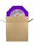 Rapunzel Pinyata Mor 42 cm + Sopası 2