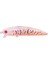 Hanfish ATMACA 90F 9 Cm 14 Gr Maket Yem #RENK: ACM234 CHINU BAIT 1