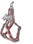 Köpek Göğüs Tasma Seti Ekose Desenli Papyonlu 1.5 Cm*35-48 cm Kırmızı 2