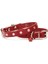 Taşlı Kedi ve Yavru Köpek Tasması 1,2X26 cm Kırmızı Large 1