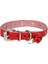 Taşlı Kedi ve Yavru Köpek Tasması 1,0X19 cm Kırmızı Small 3