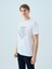 Regular Fit Erkek Tshirt K.kol 4