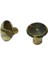 Cilt Menü, Katalog, Kartela Vidası, 6 mm - Sarı, 100 Adet 1