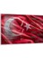 Atatürk Gençliğe Hitabe Cam Tablo - Yatay Motif 01-04 1