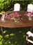 Luxury The Istanbul Gift Kahve Fincanı 1 Adet 3