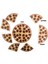 Luxury Magnet Pizza Kesir Modeli 1 Adet 3