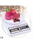 LCD Ekranlı Mutfak Tartısı (4887) 2