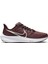 Wmns Air Zoom Pegasus 39 Spor Ayakkabı DH4072-600-600 1